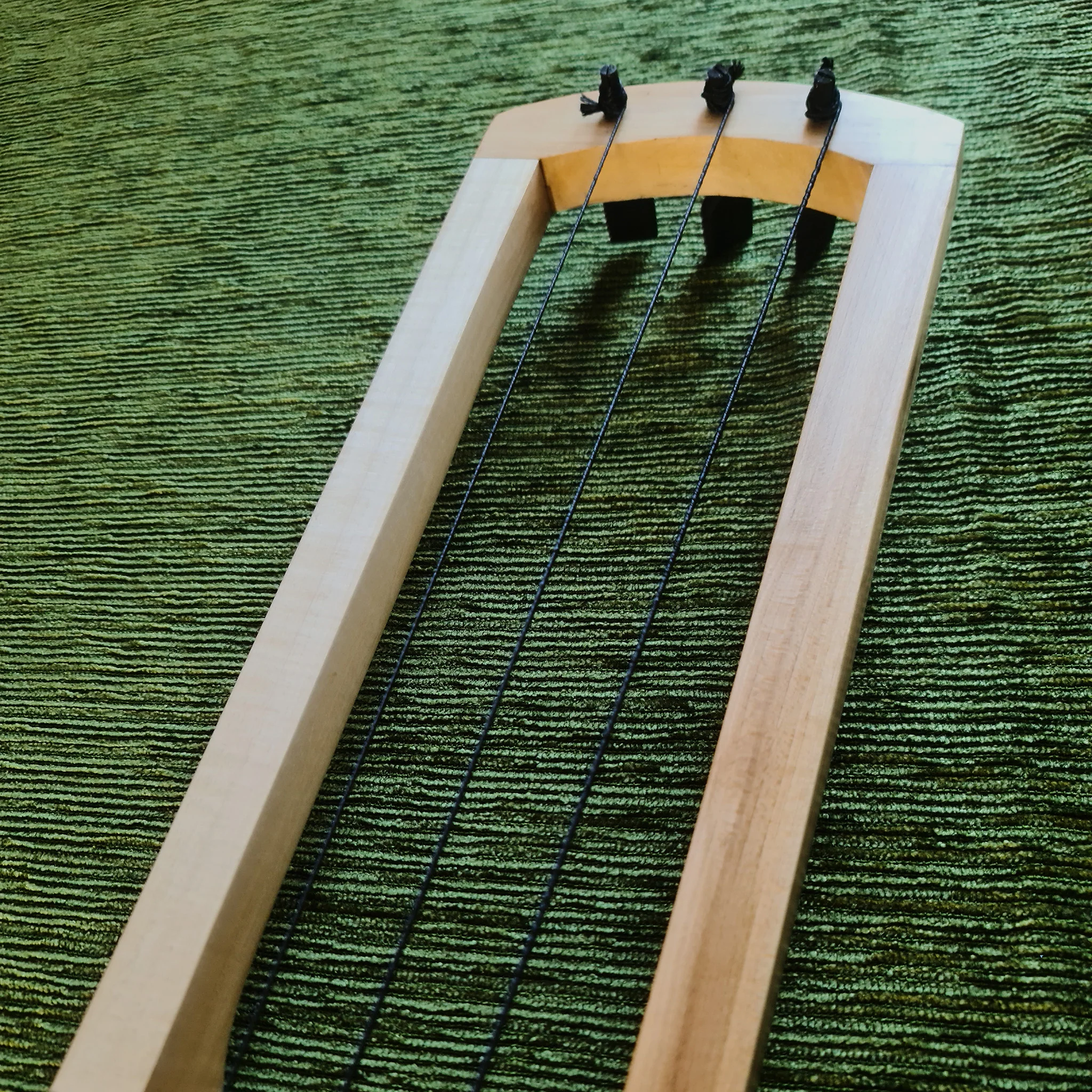 Bass Tagelharpa Pro - Image 4