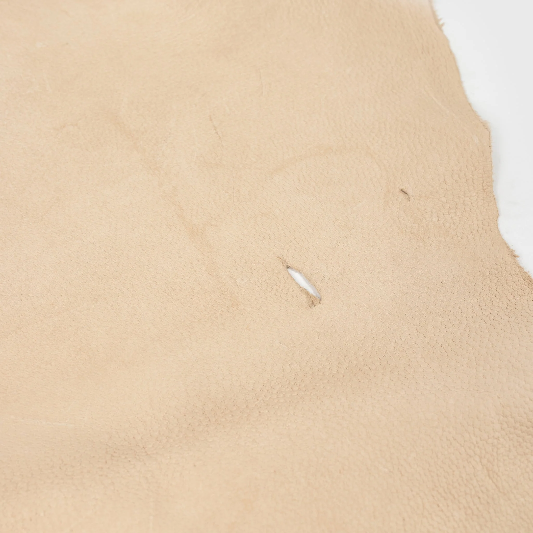 Wild Boar Leather - Image 2