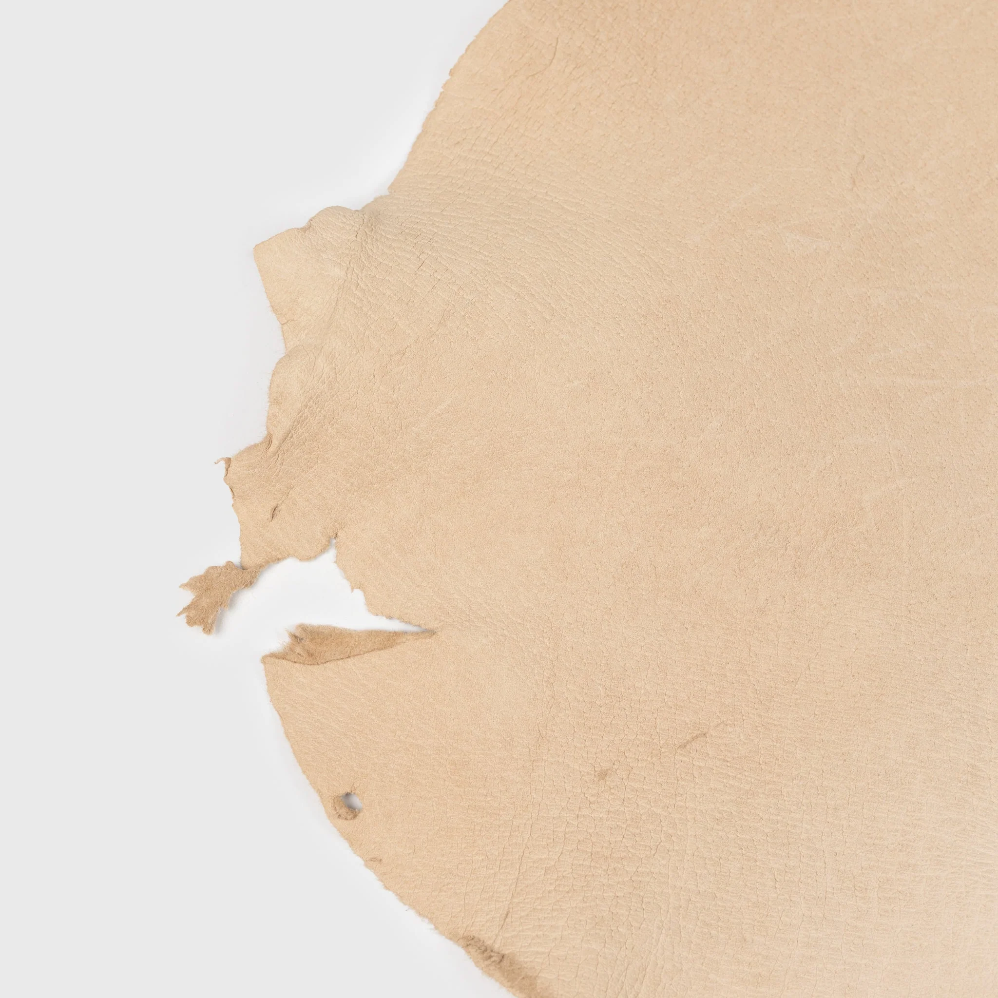 Wild Boar Leather - Image 3
