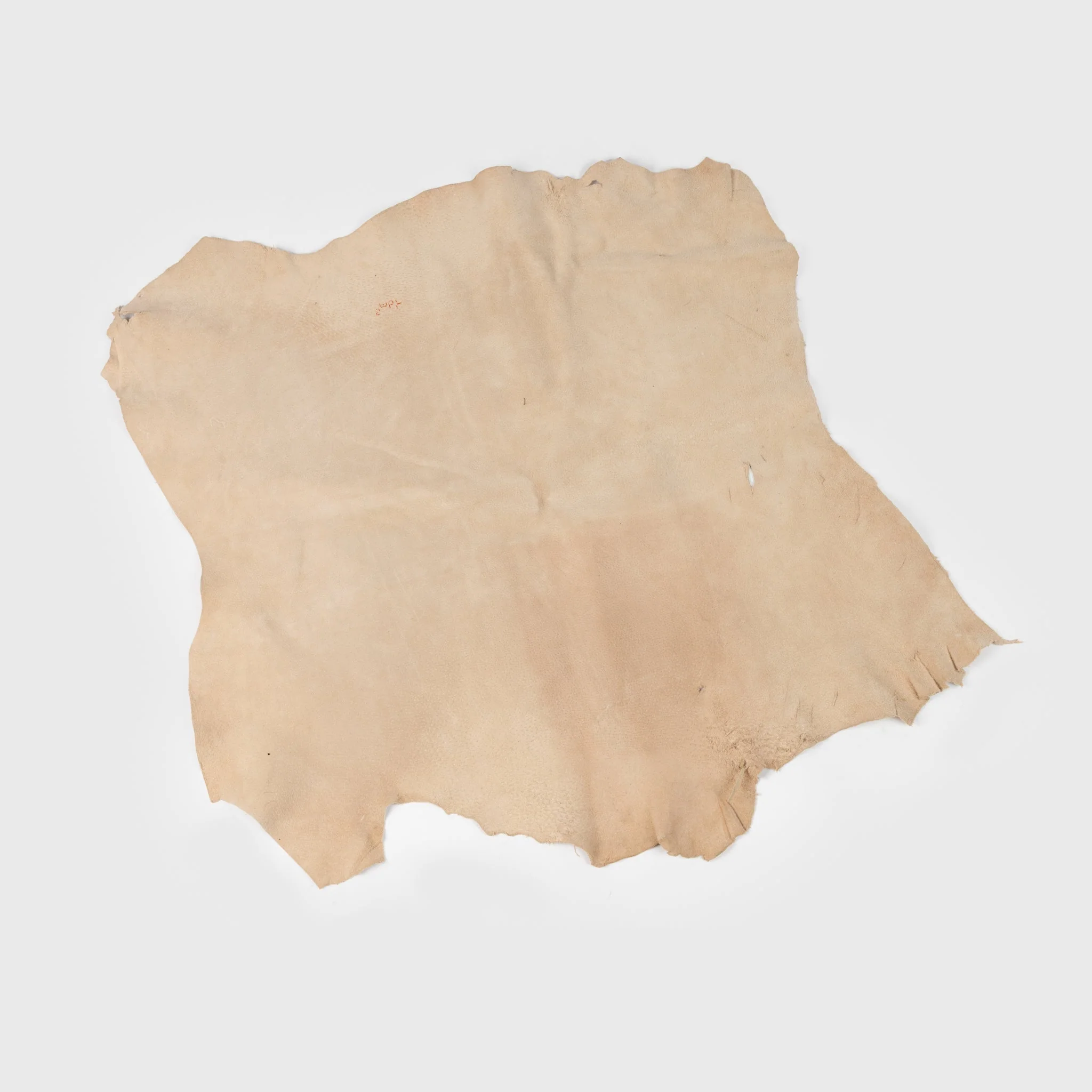 Wild Boar Leather - Image 4